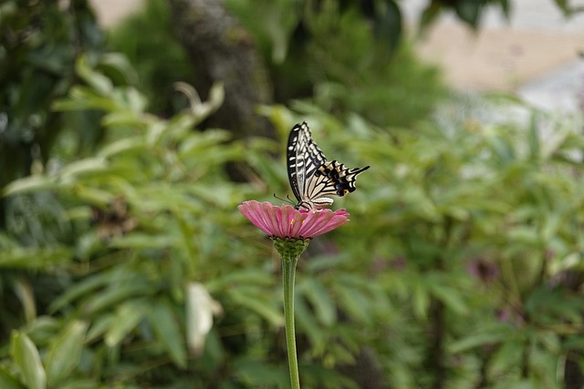 助攻數均處